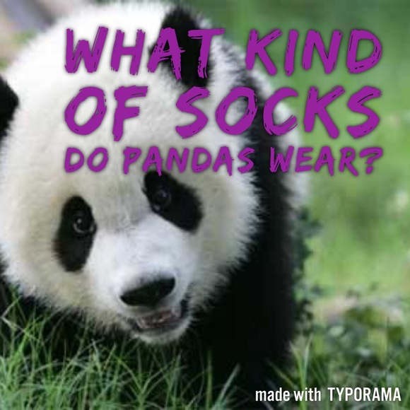 Jackets & Blazers - Because Pandas... Jackets & Blazers - Because Pandas...